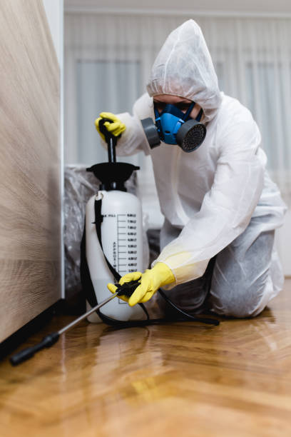 Best Commercial Pest Control  in Carefree, AZ